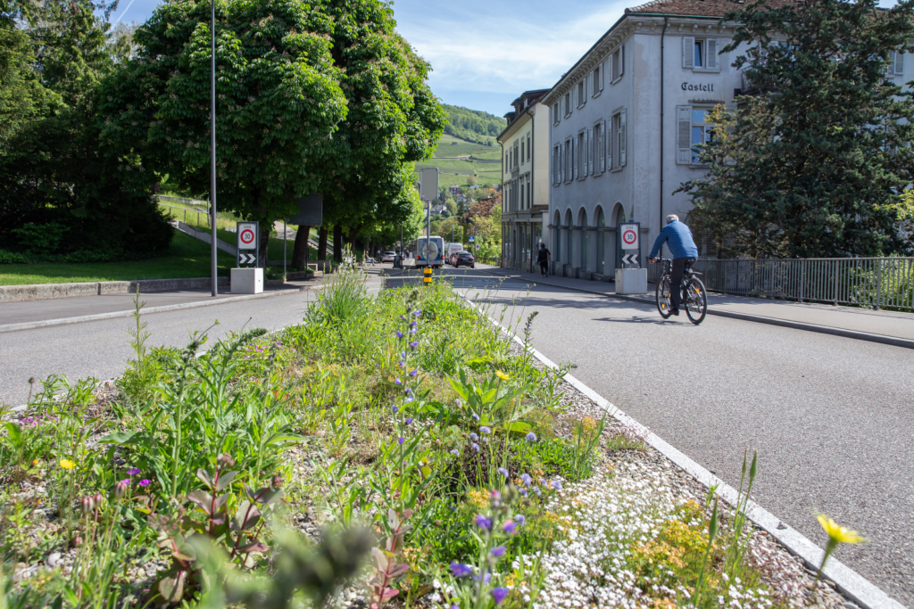 Kreisel in Baden - Binding Preis für Biodiversität 2021