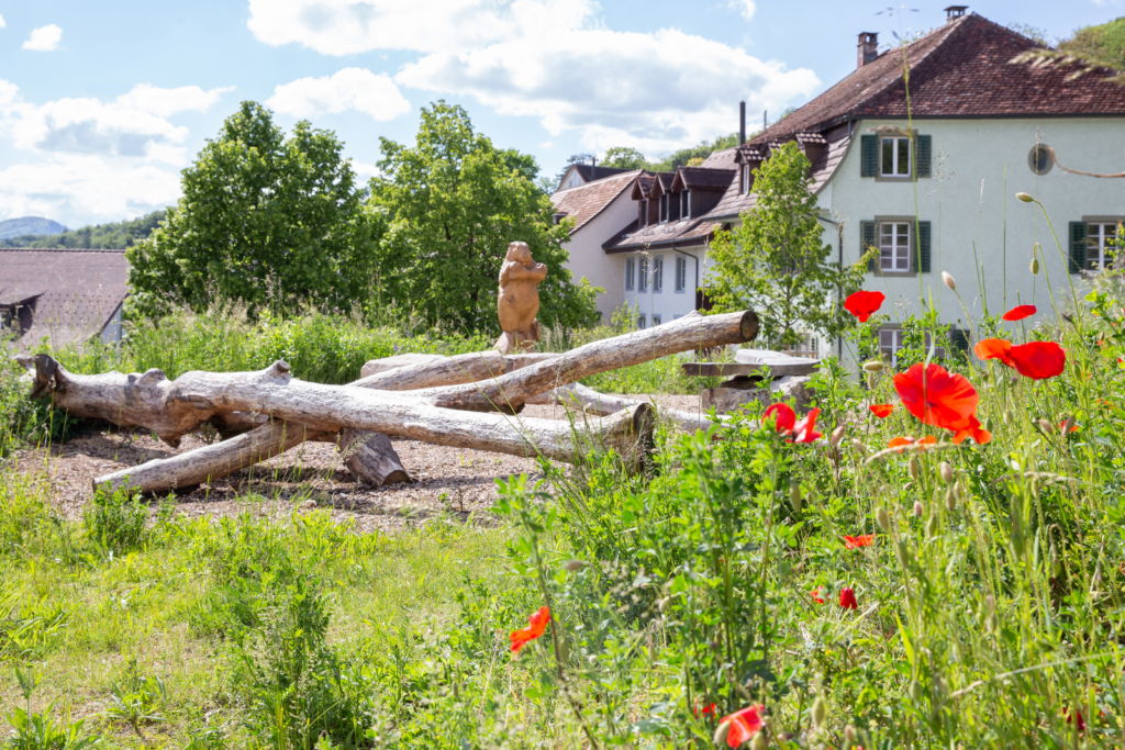Dorfplatz in Biberstein - Binding Preis für Biodiversität 2021