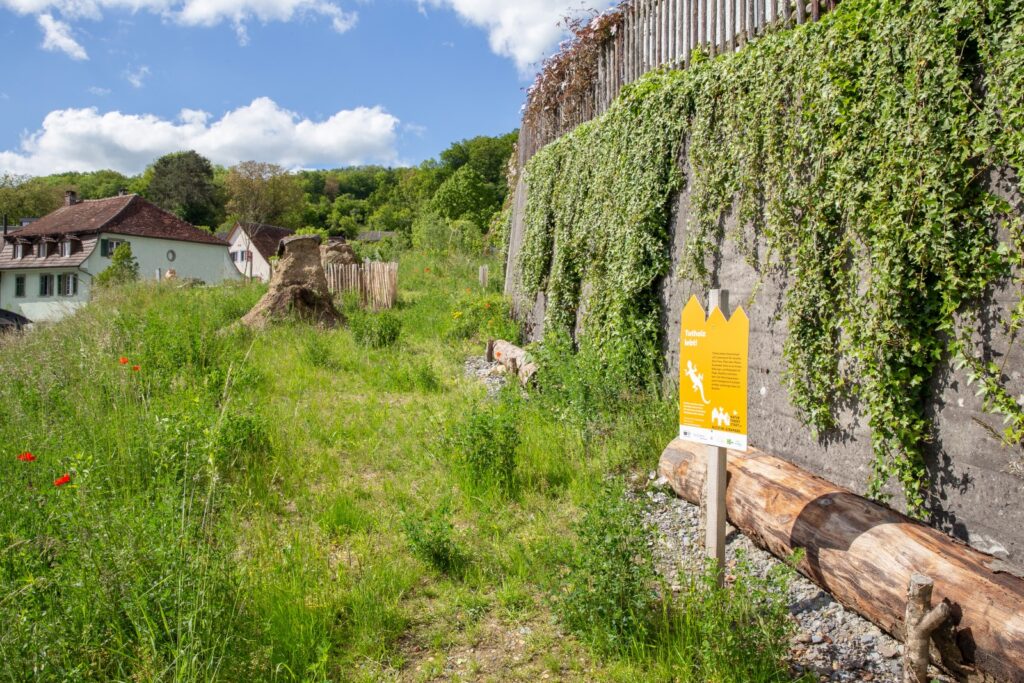 Dorfplatz in Biberstein - Binding Preis für Biodiversität 2021