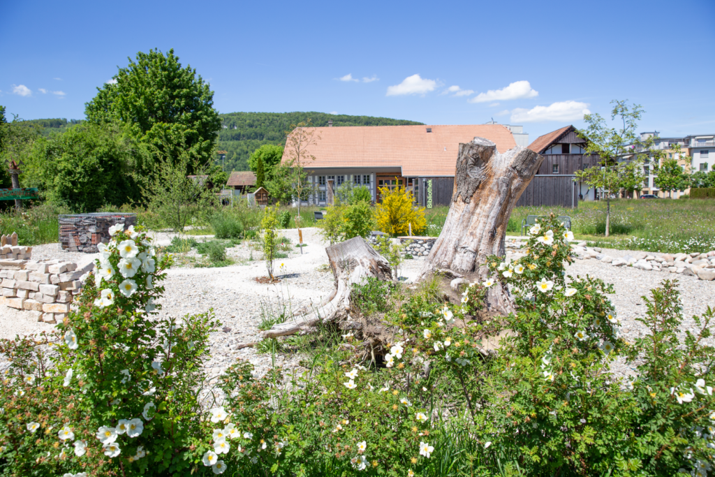 Naturgarten Rothrist - Binding Preis für Biodiversität 2021