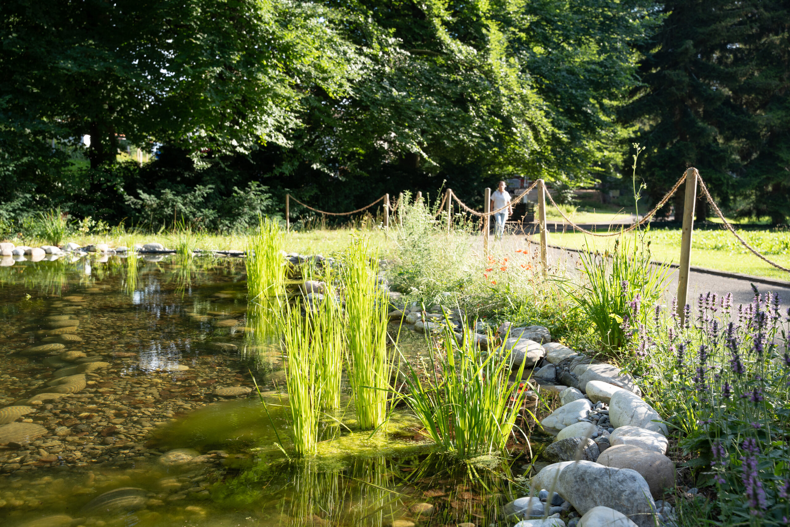 5-BindingPreis-Bremgartenfriedhof-Foto-S-Wuersch