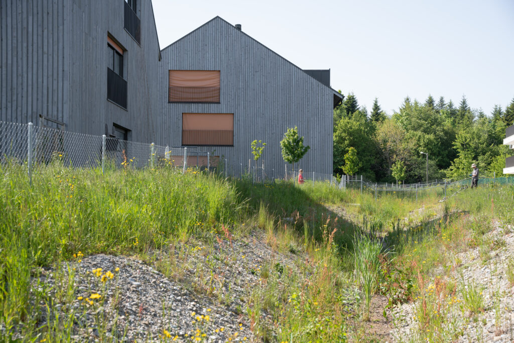 PraRomanKorridor | Binding Preis Biodiversität