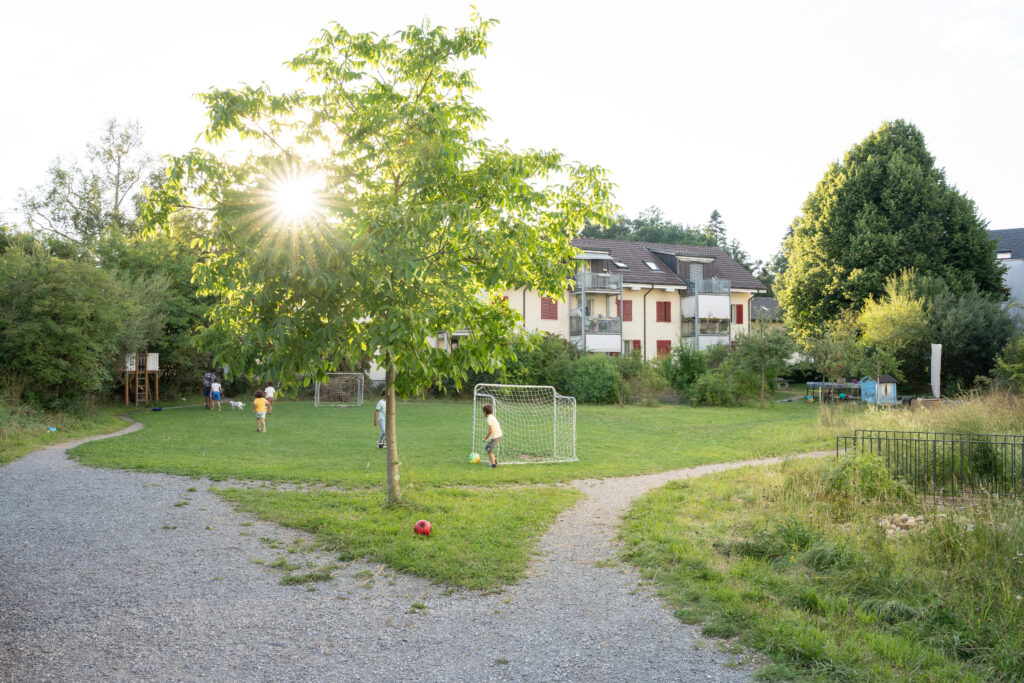 Wiese in der Siedlung Fröschmatt, Stadt Bern - Binding Preis für Biodiversität 2022