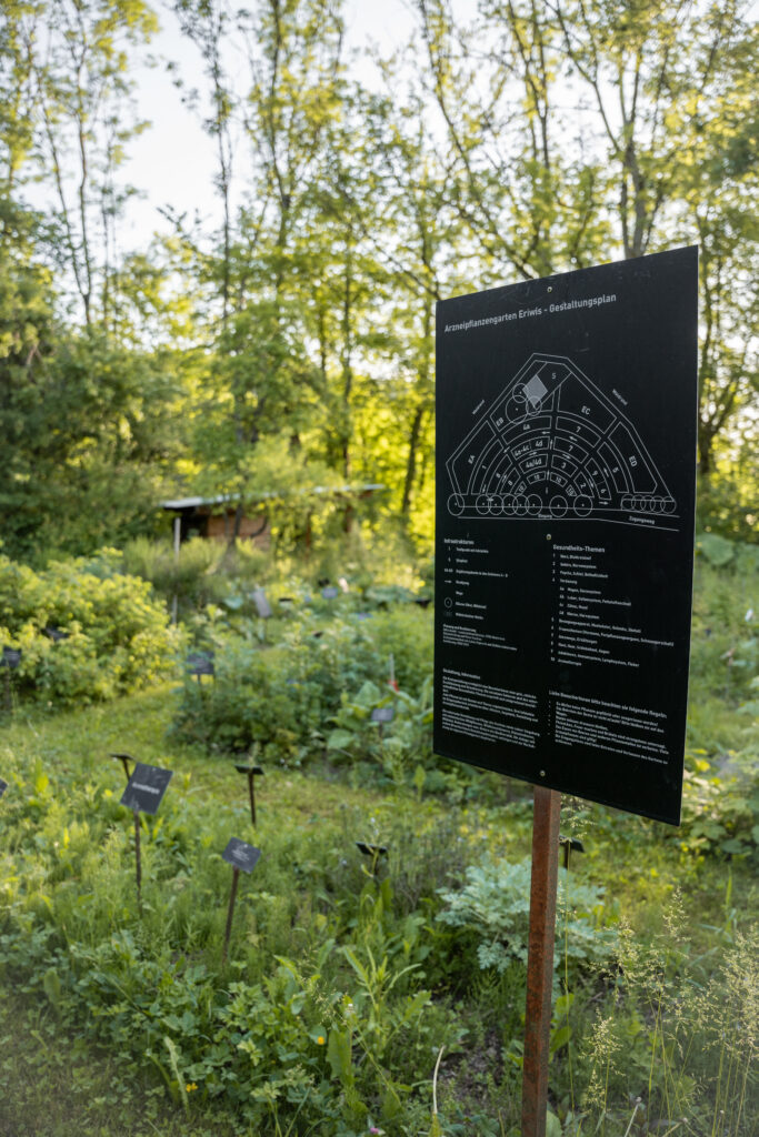 Im Schaugarten mit rund 150 verschiedenen Arznei- und Giftpflanzenarten können sich Besuchende in Pflanzenheilkunde und Gesundheitsförderung weiterbilden. Binding Preis für Biodiversität 2025
© Stefanie Würsch