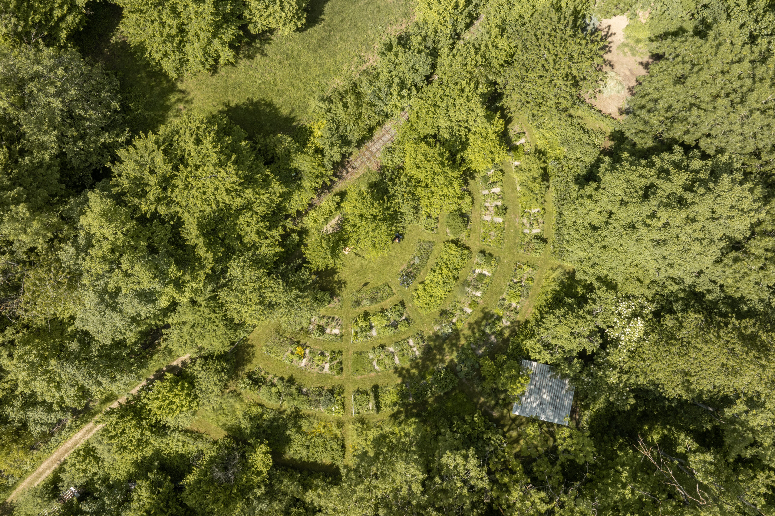 DJI_0704