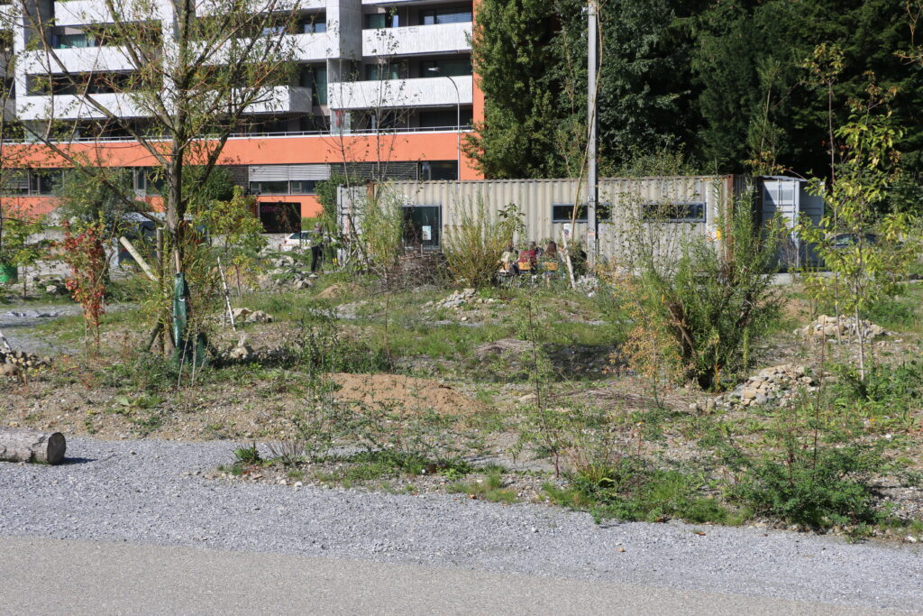 Neue Fläche des Areal Bach knapp ein Jahr nach der Pflanzung am Schlussanlass für die Jury am 2. Oktober 2025