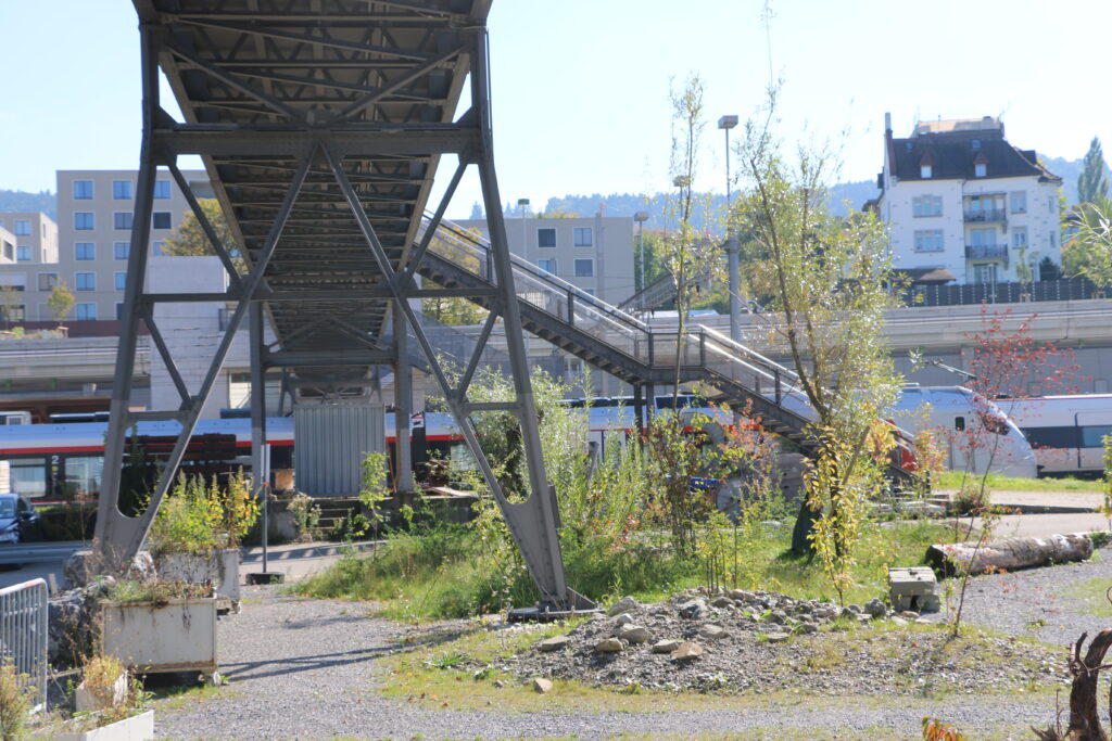 Neue Pflanzungen durch den Verein Areal Bach auch unterhalb der Überführung zum Bahnhof St. Fiden.