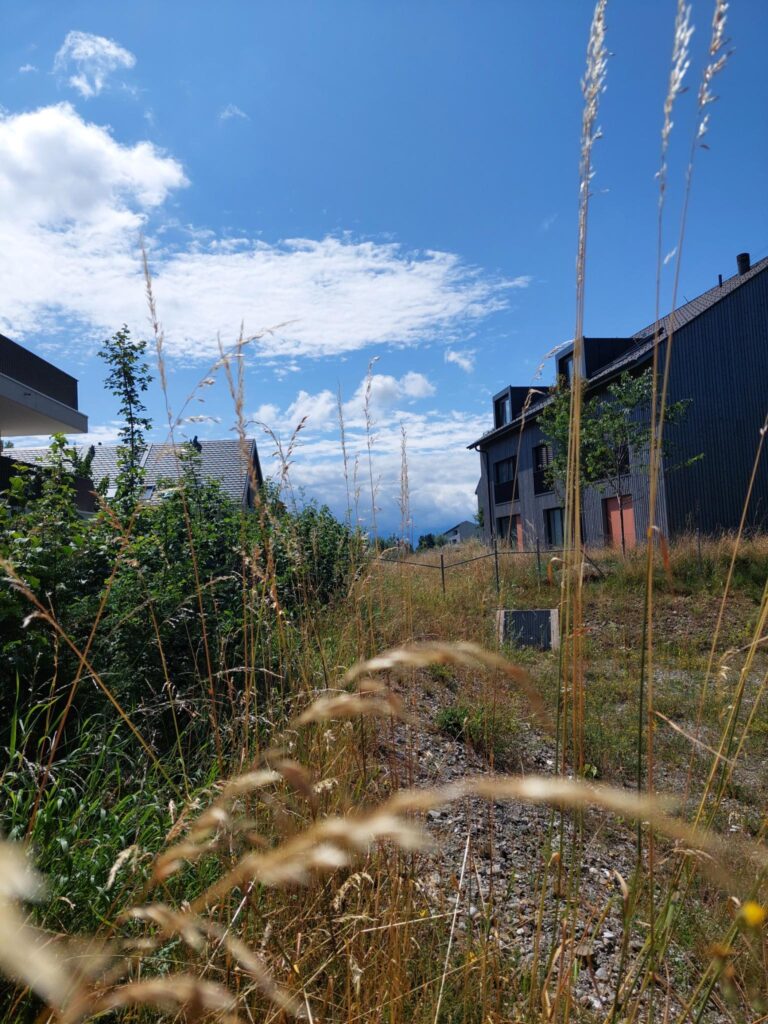 Eindrücke aus Pra Roman im Sommer 2025