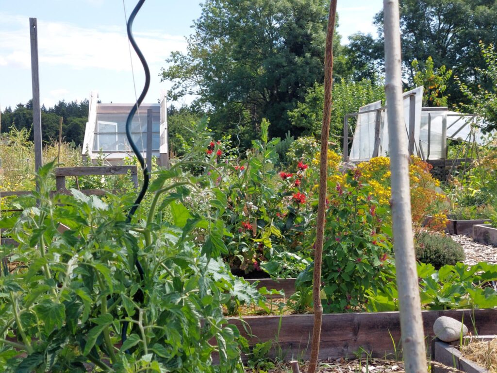 Eindrücke aus Pra Roman im Sommer 2025.