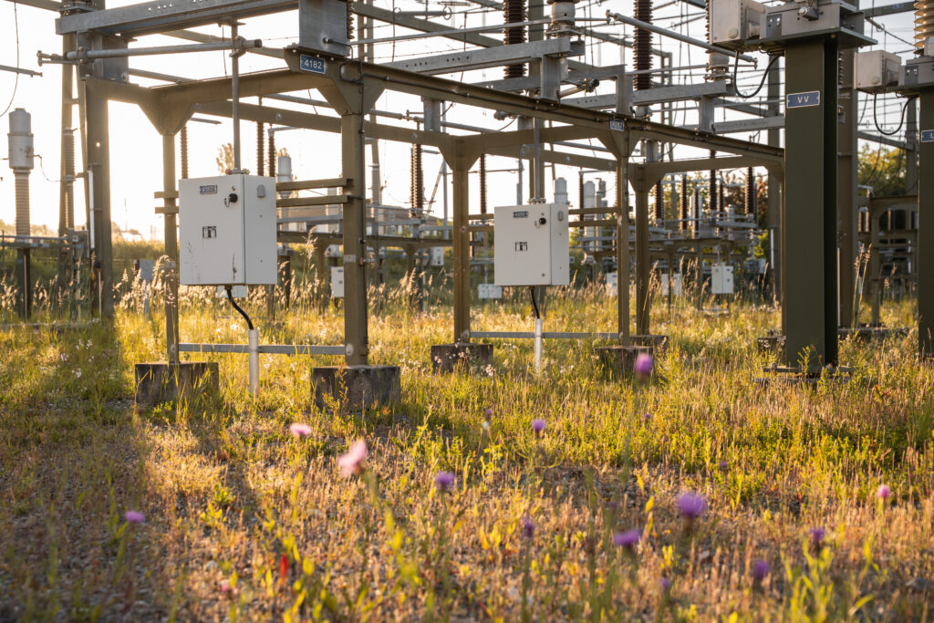 Stromkästen und Stahl umgeben von Blüten und Ruderalfläche. Binding Anerkennungspreis für Biodiversität 2026