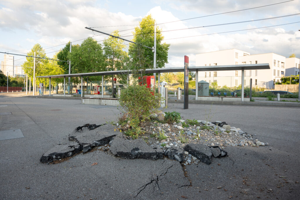 01 Ansermetplatz c StefanieWuersch | Binding Preis Biodiversität